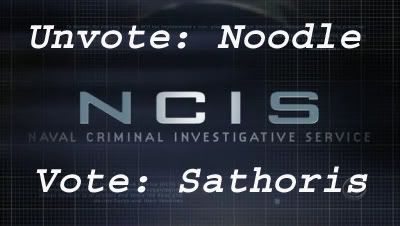 NCIS_NSV.jpg