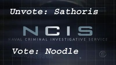 NCIS_SNV.jpg