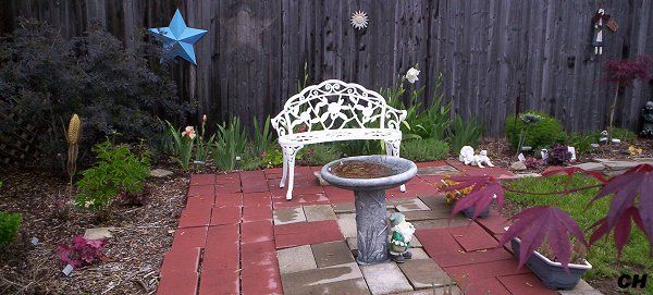  photo Birdbath513.jpg