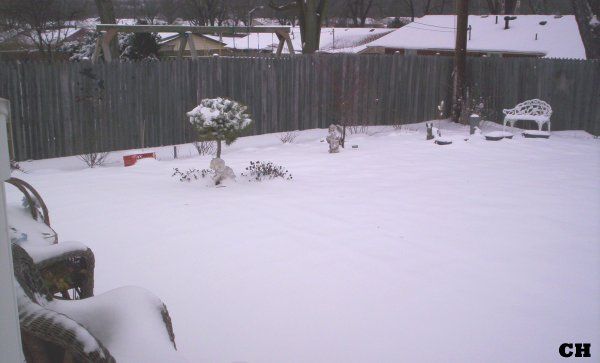  photo Snow1213.jpg