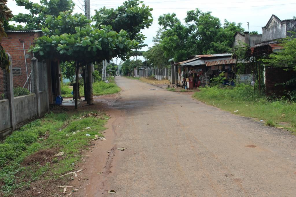 Bán đất bình thuận(đức linh) 10.700 m2 - 5