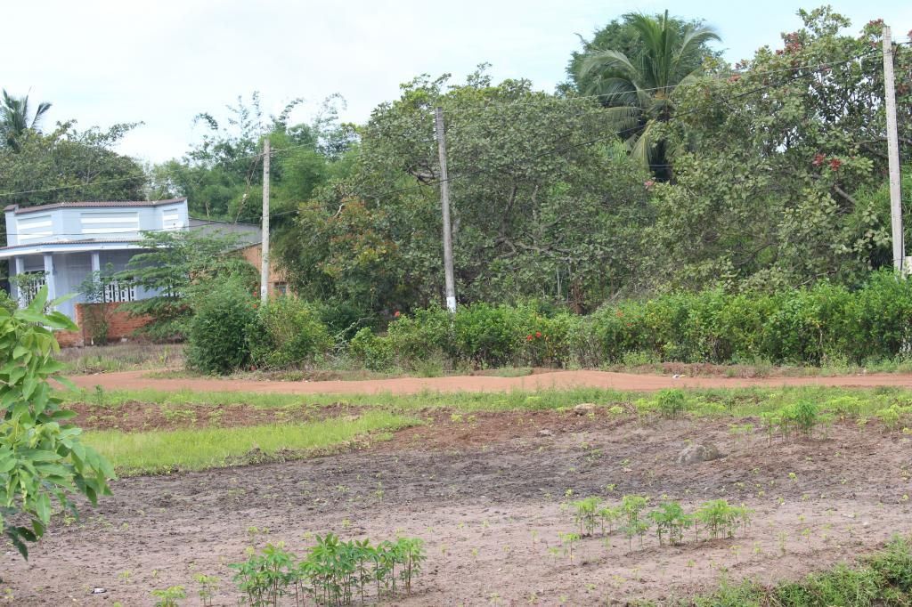 Bán đất bình thuận(đức linh) 10.700 m2 - 8