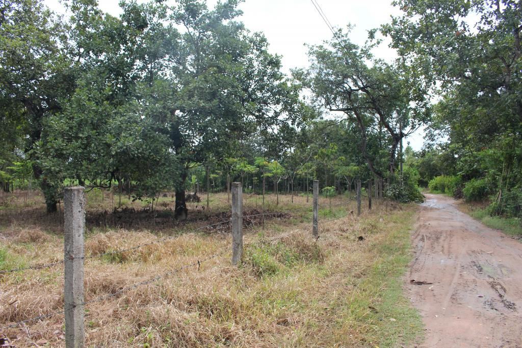 Bán đất bình thuận(đức linh) 10.700 m2 - 9