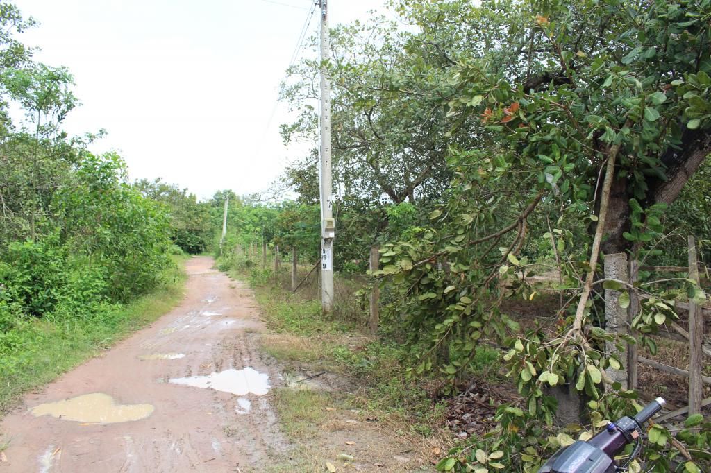 Bán đất bình thuận(đức linh) 10.700 m2 - 14