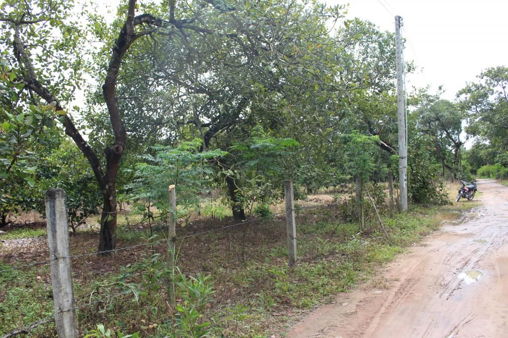 Bán đất bình thuận(đức linh) 10.700 m2 - 11