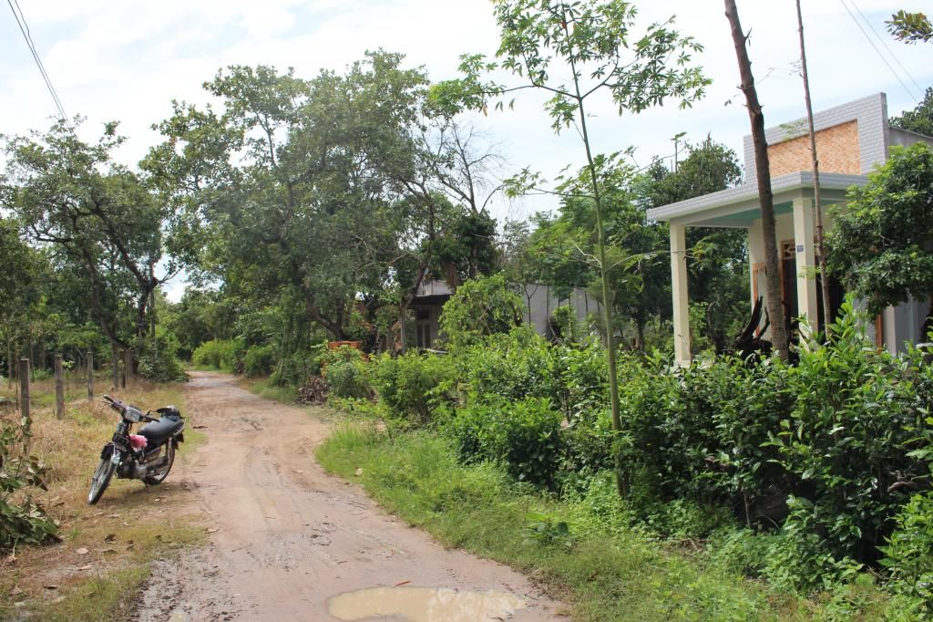 Bán đất bình thuận(đức linh) 10.700 m2 - 13