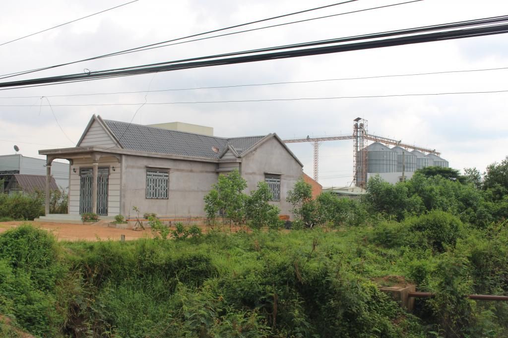 Bán đất bình thuận(đức linh) 10.700 m2 - 17