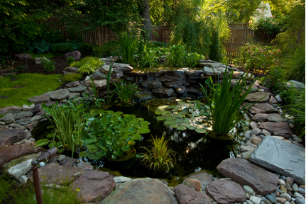 C:UsersMattPicturesMalson-Royster1105_Malson_0079rw.jpg