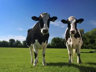Farms For Sale Blog
