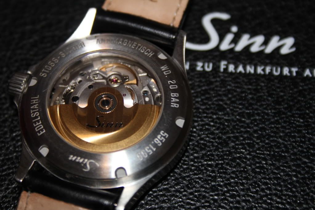 Sinn556051.jpg