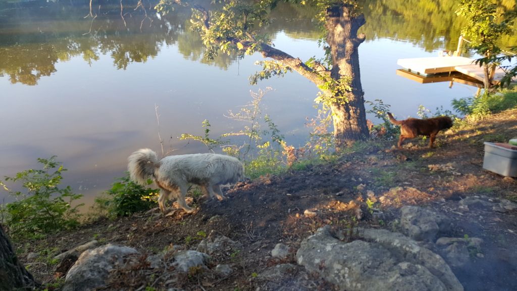 20150820_190631.jpg