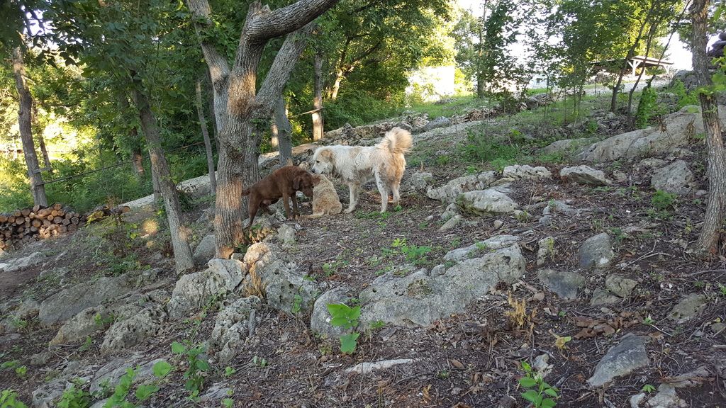 20150820_190732.jpg