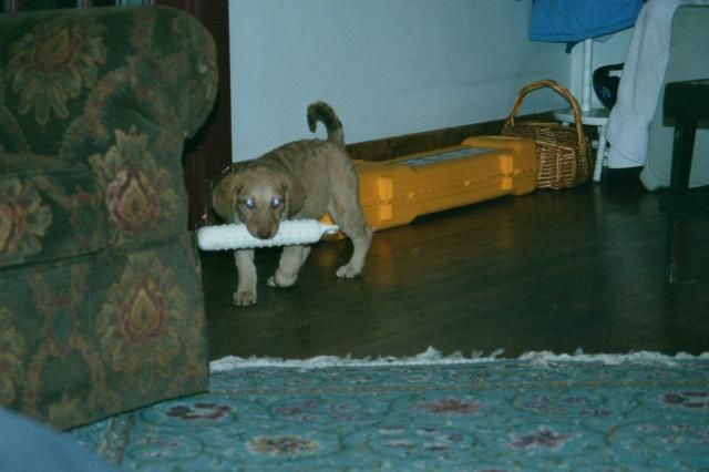 img013.jpg