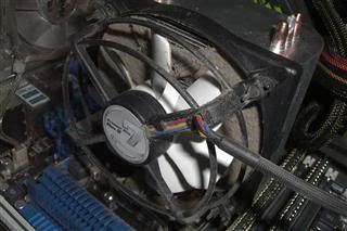 CIMG5102.jpg