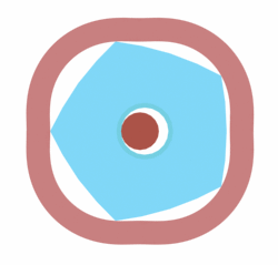 w2b.gif