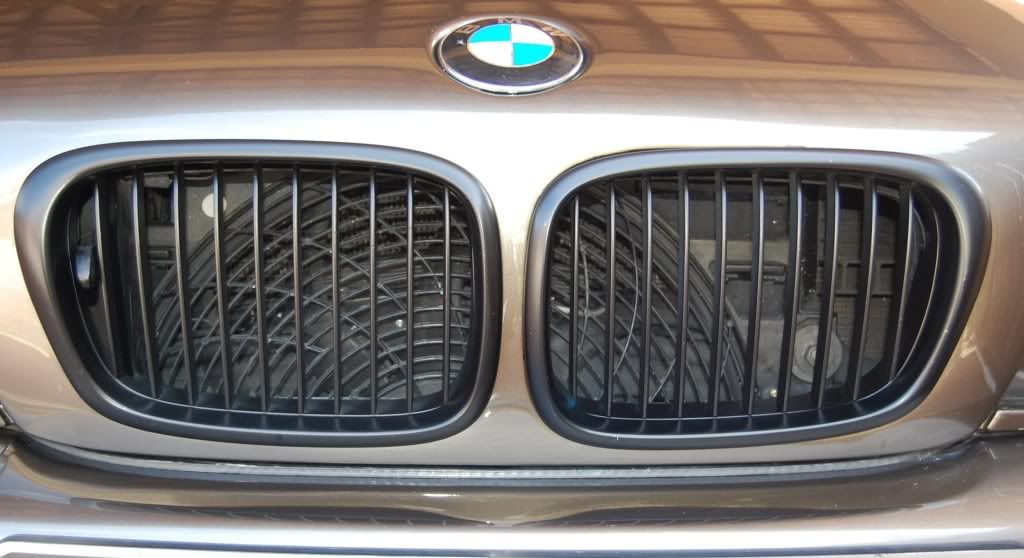 FrontGrille.jpg