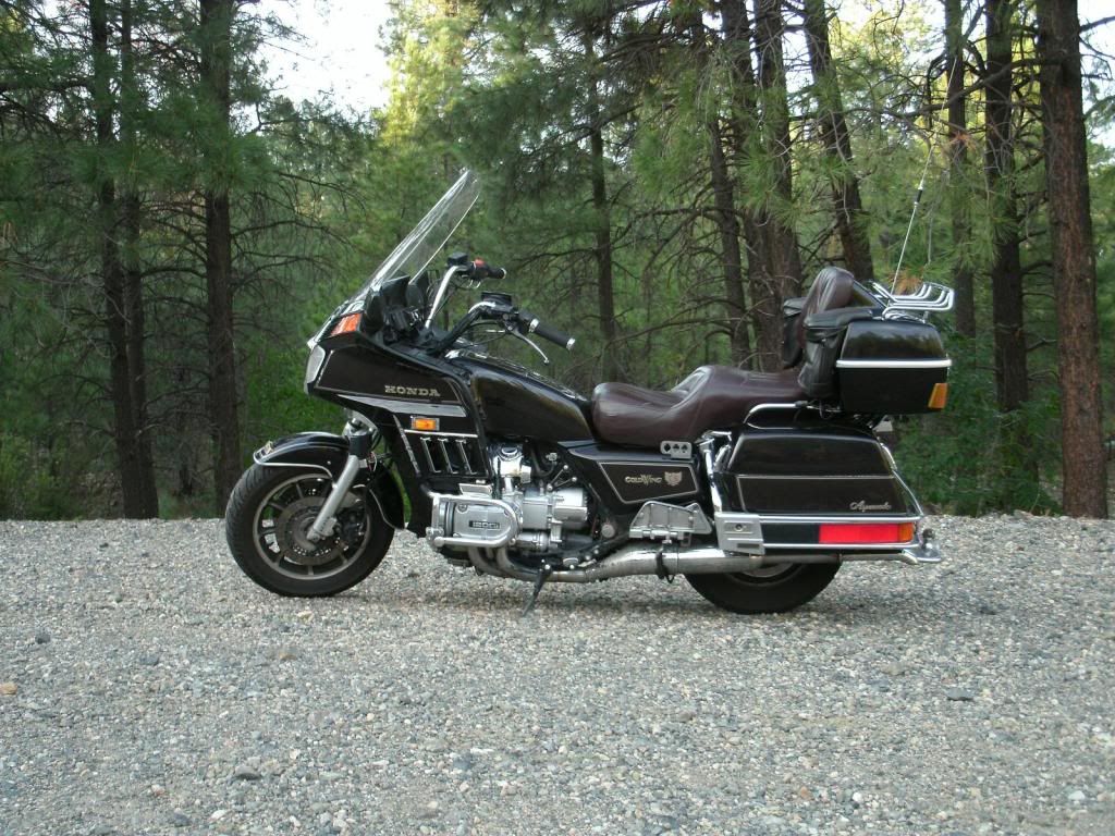[Image: goldwing_woods.jpg]