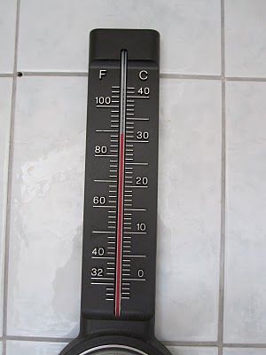  photo thermometer_zps3bdda1b1.jpg