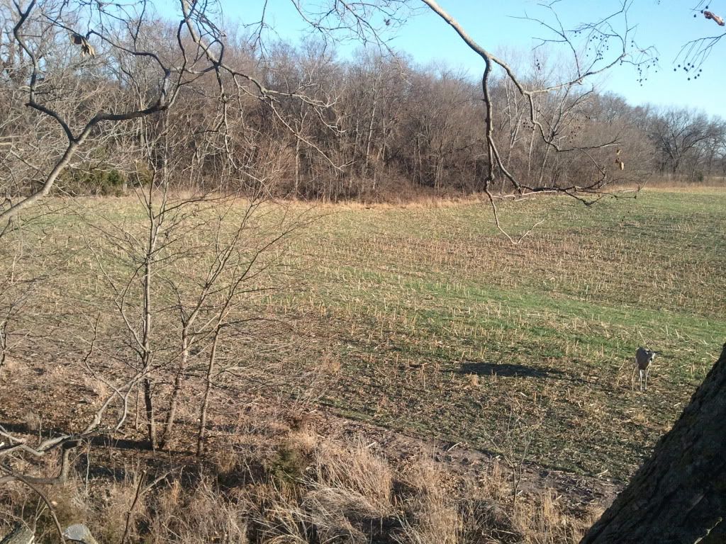 2012-11-07160947.jpg