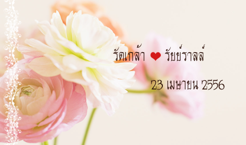 http://i1235.photobucket.com/albums/ff437/yorukun07/card.png