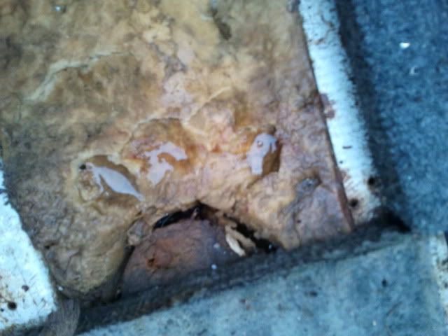 2011-05-25075056.jpg