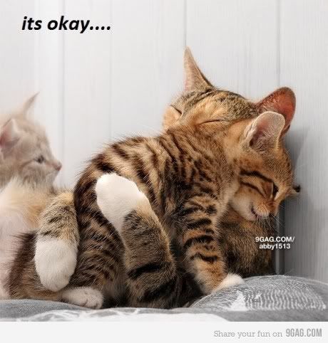 hug Pictures, Images and Photos
