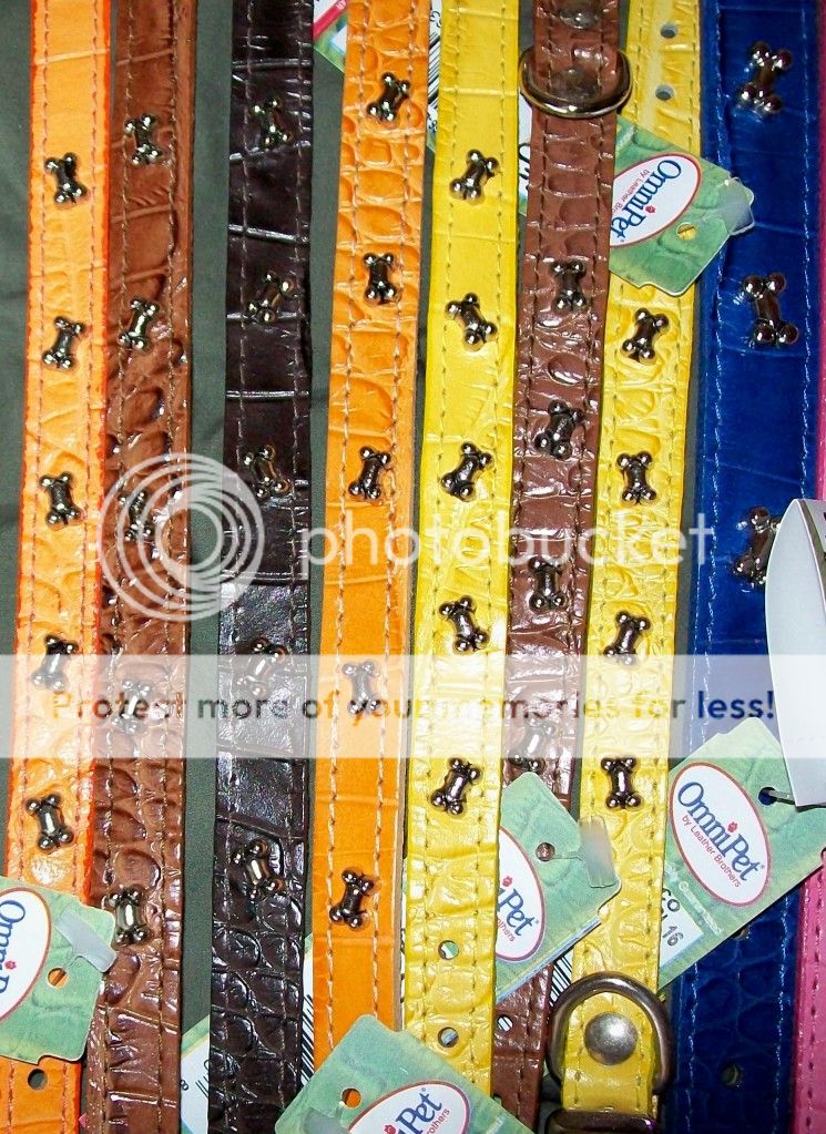 Omni Pet Faux Crocodile Leather Dog Pet Collar Choose Size Color Ornament